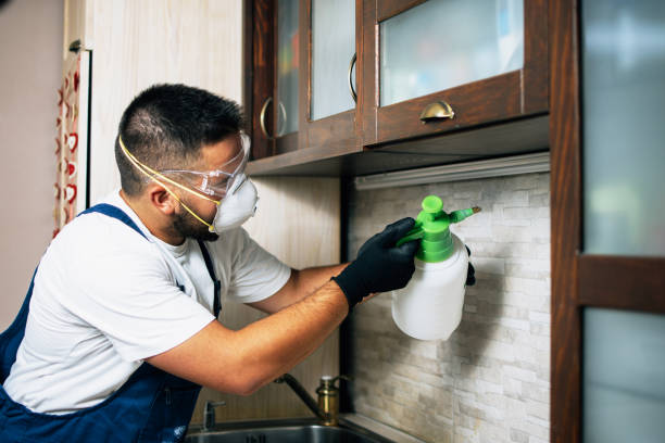 Best Best Pest Control Companies  in Camden, TN