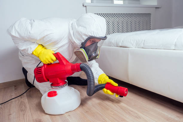 Best Cockroach Control Services  in Camden, TN
