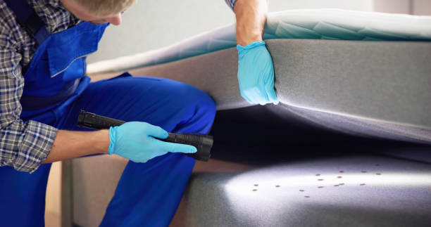 Professional Pest Control in Camden, TN