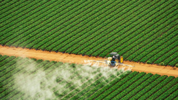 Best Pest Prevention Services  in Camden, TN