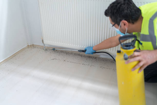 Best Affordable Pest Control Services  in Camden, TN