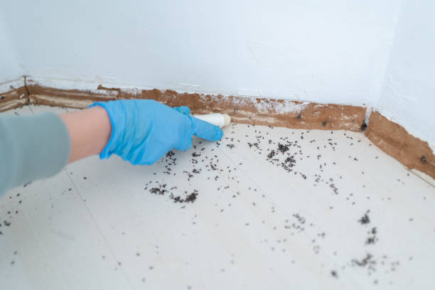 Best Best Pest Control Companies  in Camden, TN