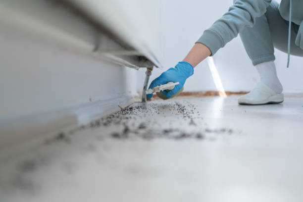 Trusted Camden, TN Pest Control Experts