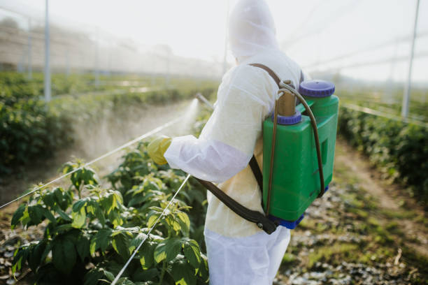  Camden, TN Pest Control Pros